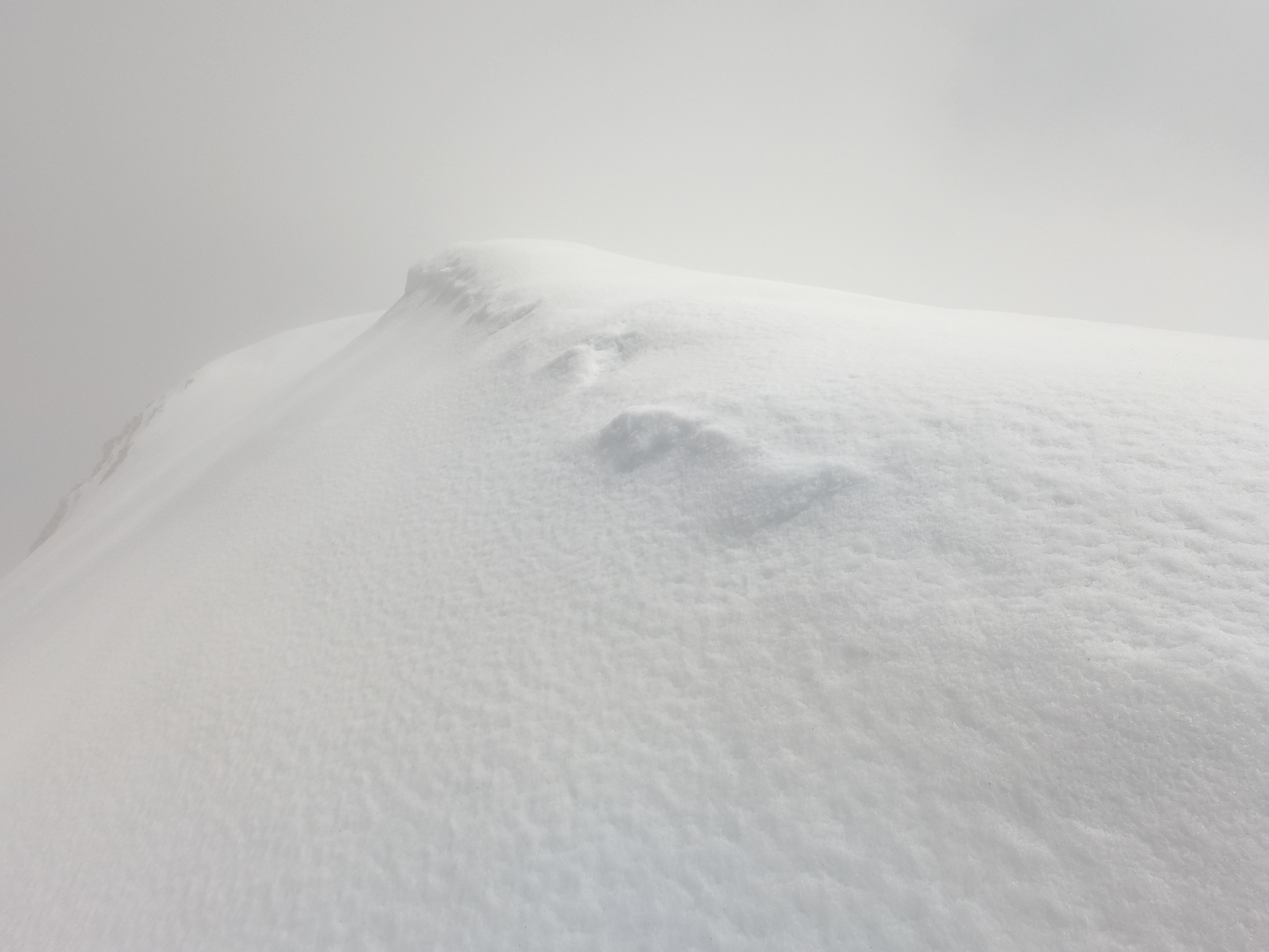 Scialpinismo da Roma