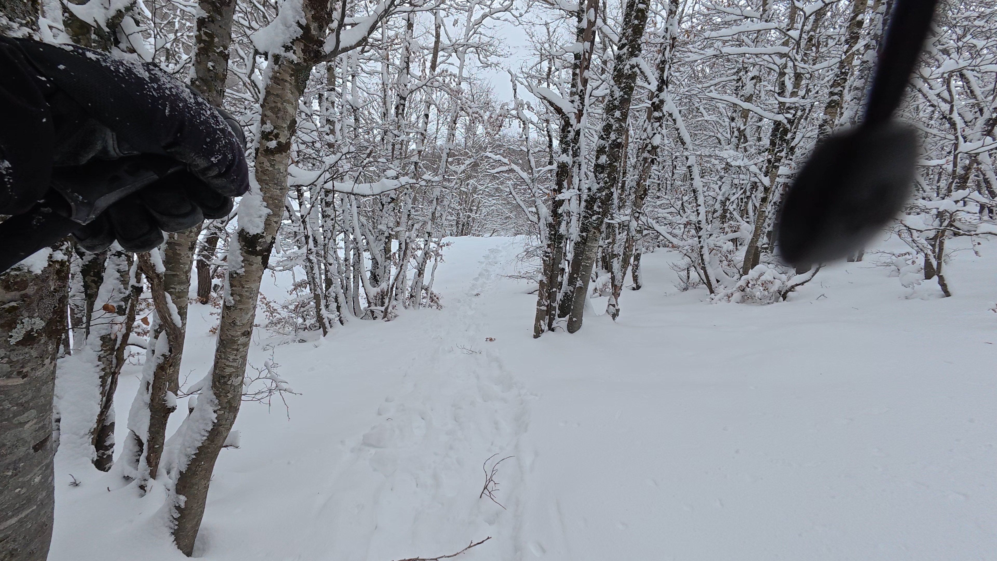 Scialpinismo da Roma