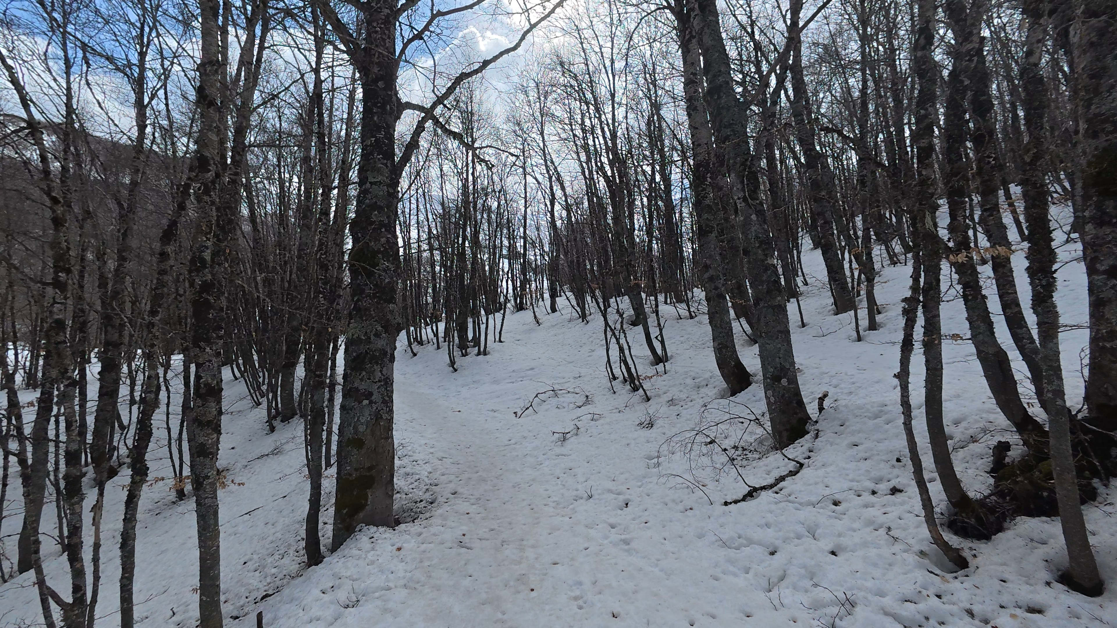 Scialpinismo da Roma